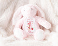 My Berry First Birthday Baby Girl Pink Strawberry Soft Toy Plush Bunny Keepsake Gift