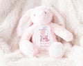 Personalised First Birthday Bunny, 1st Birthday Dinosaur Gift Girl Teddy, 1st Baby Girl Birthday Present, Personalised 1st Birthday Soft Toy
