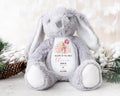 Personalised New Baby Gift, New Baby Soft Toy, New baby gift, New born Gift, Baby Keepsake, Baby shower gift, Birth stats, Teddy Bear Bunny