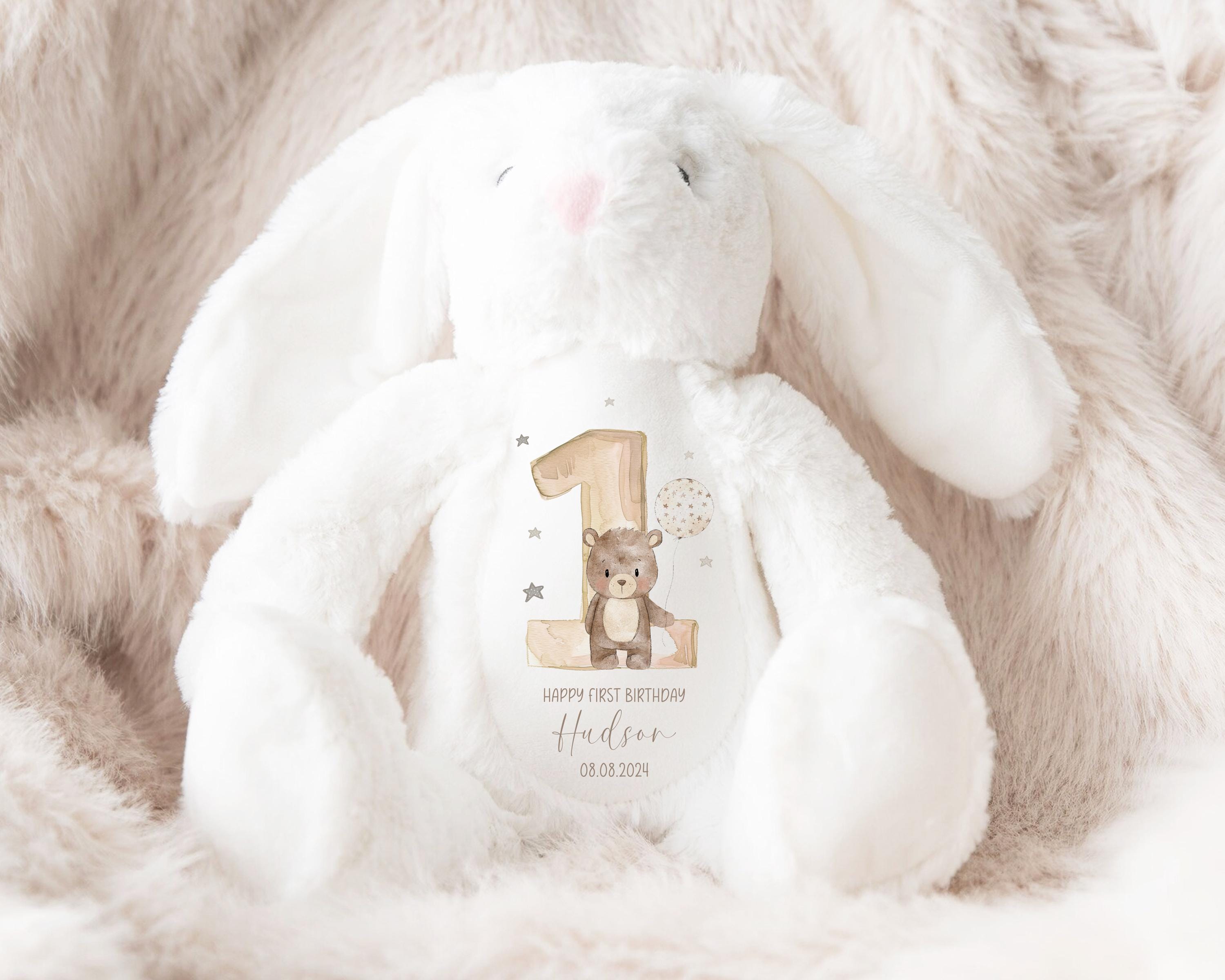 Personalised Teddy 1st Birthday Gift Custom Teddy Bear Keepsake, First Birthday Gift for Baby, Special Baby Gift Son Daughter