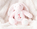 Personalized Plush Bunny: Berry First Birthday Keepsake Gift